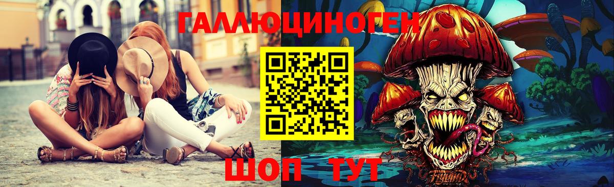 Псилоцибиновые грибы Psilocybe Лабытнанги