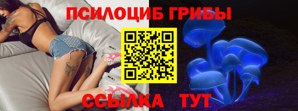 Галлюциногенные грибы Cubensis  Вход с VPN  Лабытнанги 
